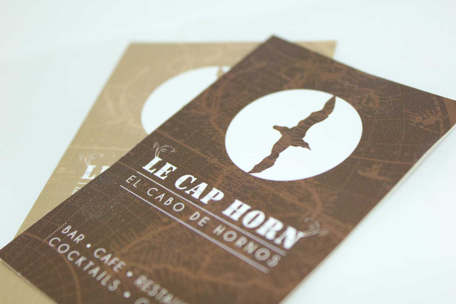 Détail de la carte de visite Le Cap Horn, logo mouette et carte marine en fond
