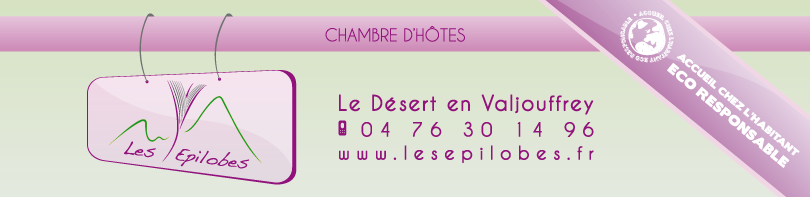Identité visuelle Les Épilobes, chambre d'hôtes au Désert en Valjouffrey